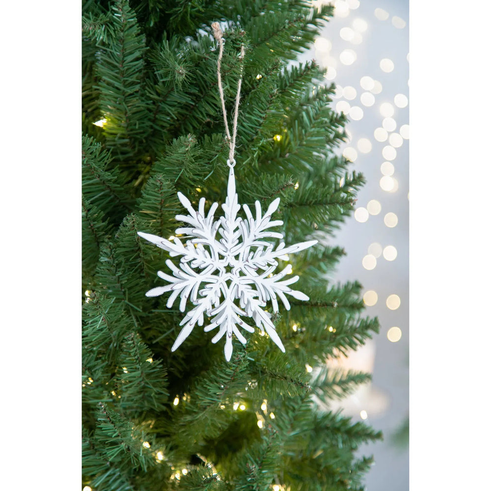 Seks hvite snøkrystaller i jern med tau